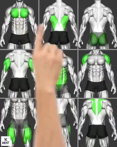 Complete body workout guide 
#FitIndia #HealthyLife #FitBharat🙏✌💪💪