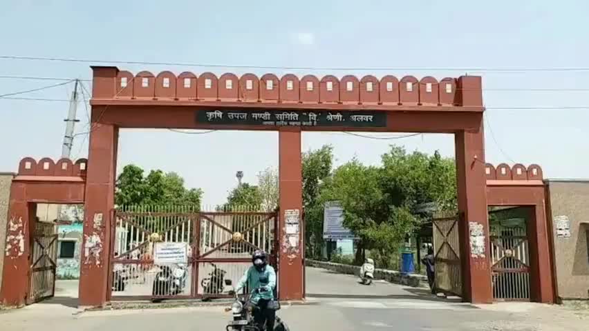 अलवर कृषि उपज मण्डी मे 26 से 28 अप्रैल तक रहेगा अवकाश | कोरोना के कारण लिया निर्णय #narukaneeraj1 #covid19 #corona