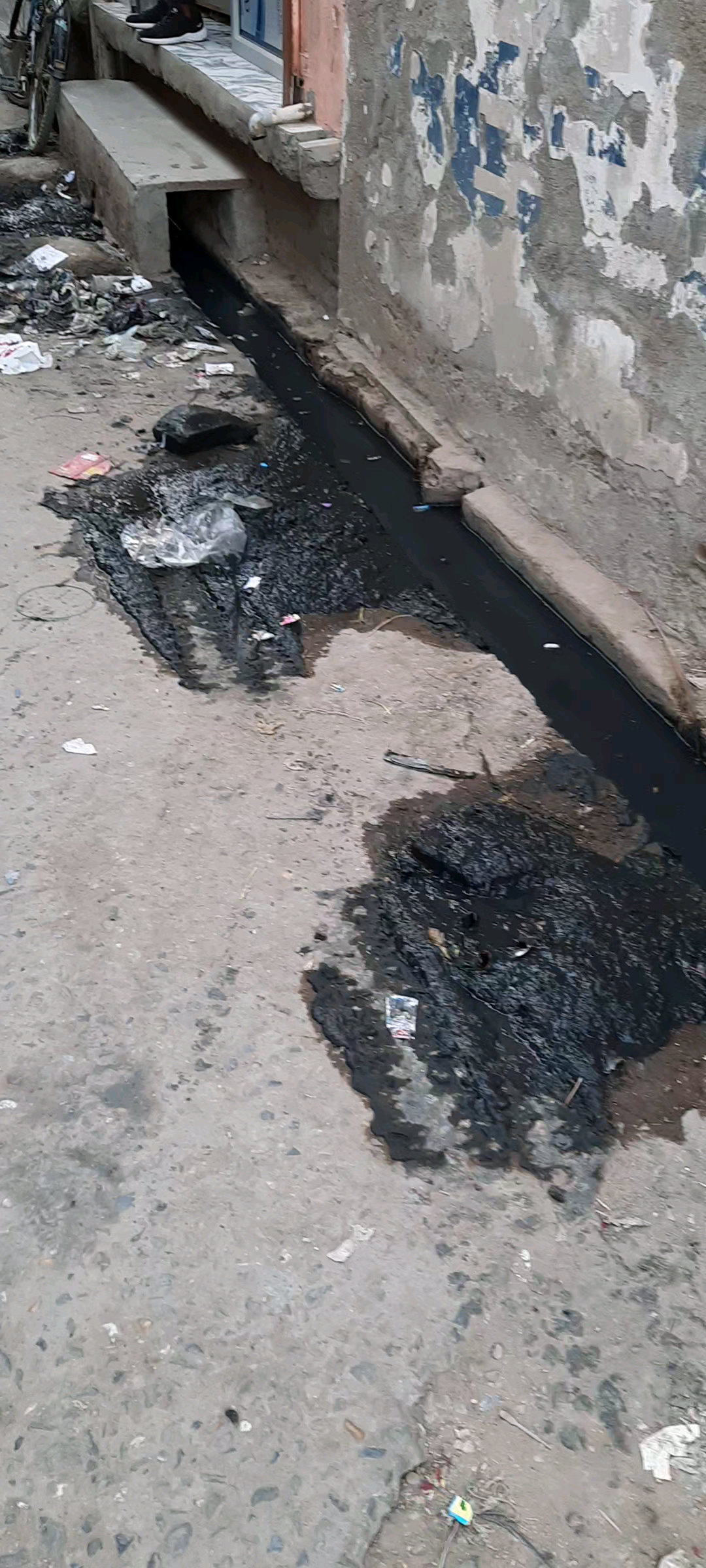 सासनी: #धर्मेन्द्र कुमार जाटव पत्रकार
आज सासनी के सिनेमाहॉल पर बराबर वाली गली मैं सफाई कराई भारतीय जनता पार्टी सासनी अध्यक्ष जी