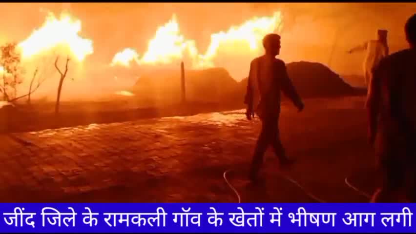 जींद: जींद जिले के रामकली गांव में लगी भीषण आग। गांव के लोग अपने स्तर पर आग बुझाने में जुटे।
#बेकाबू_आग #jankrantijind