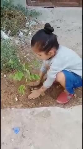 सरैया: #हर_व्यक्ति_हर_साल_एक_पौधा 
#EachOnePlantOne  #oxygenplant