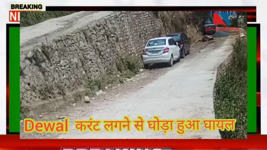 #Dewal #देवाल बाजार के समीप करंट लगने से घोड़ा हुआ घायल@