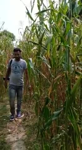 कोरोना काल मे जबकि अनेक स्थानों पर लॉकडाउन लगा है।ऐसे मे एक बारात ऐसी भी निकली#वायरलवीडियो
