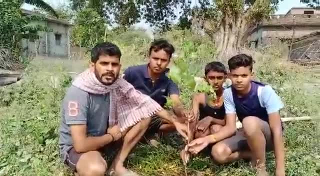सरैया: #हर_व्यक्ति_हर_साल_एक_पौधा 
#EachOnePlantOne  #oxygenplant  #mission100croretree