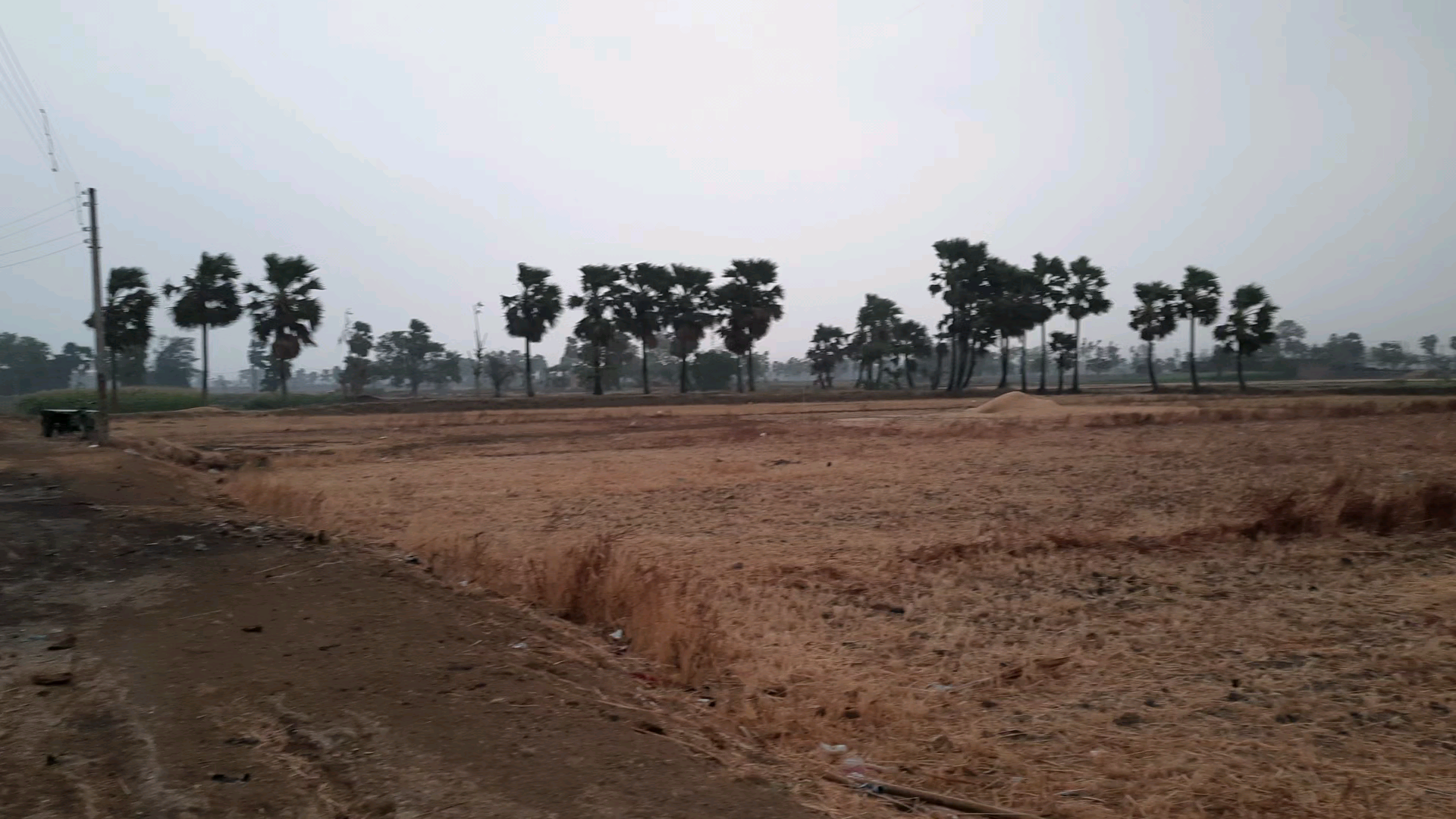 सोमवार को आंधी-तूफान आने से ग्रामीण वासियों में अतरह तफरी का माहोल #लोदीपुर #छबिलापुर।