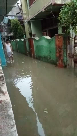जमुई: #Bhari barish Azad Nagar huwa jal thal@#