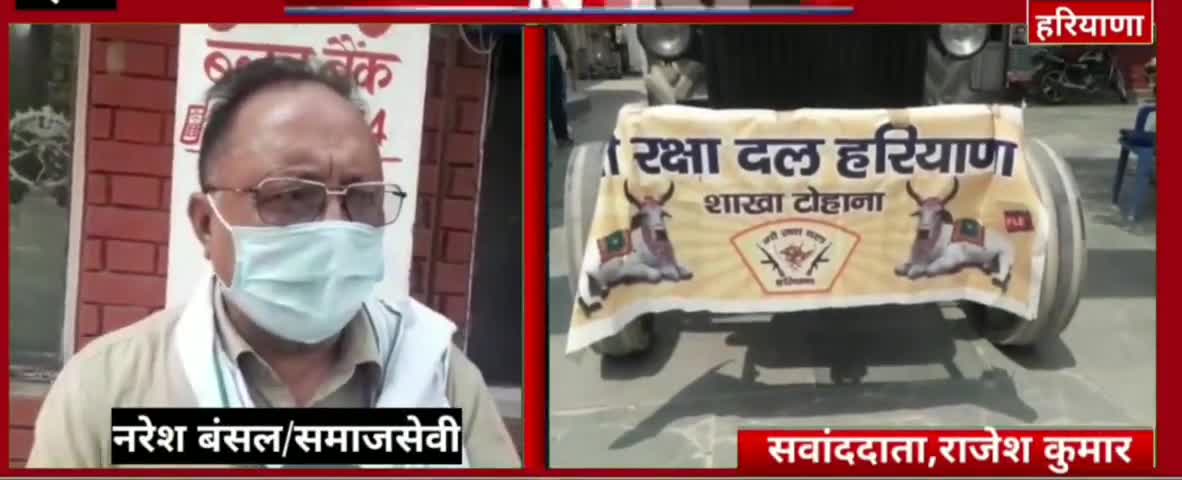#करोना #महामारी के चलते गौ रक्षा दल #हरियाणा सदस्यों ने शहर में सार्वजनिक स्थानों पर #सैनिटाइजर का छिड़काव किया ।