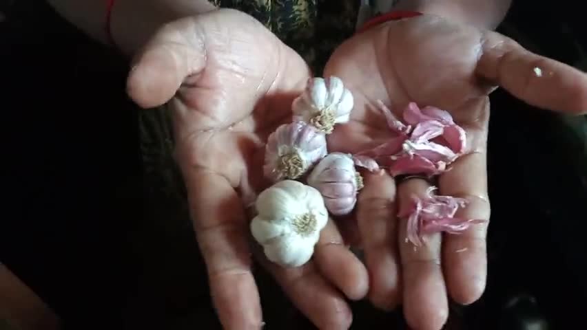 लातेहार: #adulteratedvegetable #vegetablemarket #foodcolour #saveenvironment #lehsun #milawat