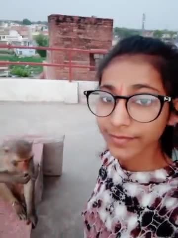 बाड़ी: #एक_पल_के_लिए_ही_सही_मगर_किसी_के_चेहरे_पर_मुस्कान_तो_बने 
#hungary_monkey  #monkeyfood #monkeyvideos #share🙏
#barinew