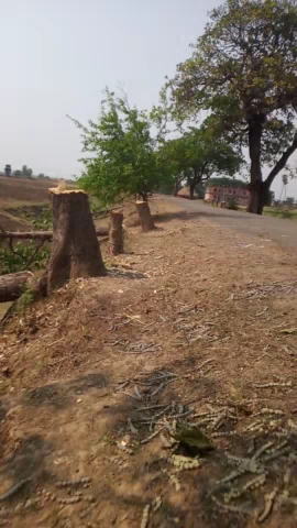मोकामा: #saurabh #garda#kurmichak#Jila#patna