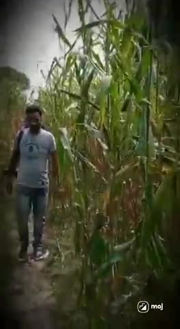 लॉक डॉउन है तो क्या हुआ शादी तो होकर रहेगी,#लॉक डॉउन ,में ऐसे भी हो रही शादी