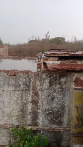 शिवपुरी नगर: shivpuri me huhi barish#shivpuri #newstrack #shivpuri