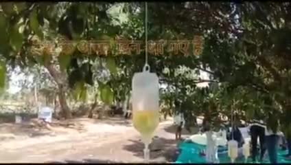 शवराज के शासन वाले “डबल उल्लुओं” मने डबल इंजन की सरकार मध्यप्रदेश के विकास को देखिए 
#आत्मनिर्भर_भारत #AtmNirbharBharat
