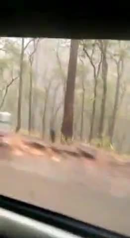 #पहाड़ से लेकर #भाबर तक खूब हुई #बारिश 
#Bhimtal #dhari #okhalkhanda #Ramgarh
#Haldwani #Nainital #kaladhungi
#rain #शहर
