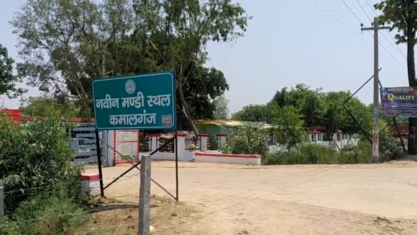 #कमालगंज #नवीन #मंडी स्थल में #लॉकडाउन का #दिखा असर मंडी #परिसर में #छाया #सन्नाटा किसानों की मंडी आज बिन #किसान #महरूम