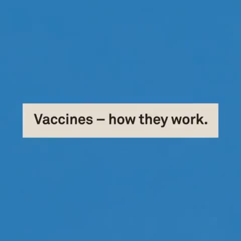Watch to know how a vaccine helps the body fight infection.

#COVID19 #LargestVaccineDrive