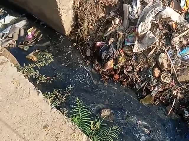 swachh Bharat abhiyan ki ud rahi hai dahajjiya
#swachhta ko thenga