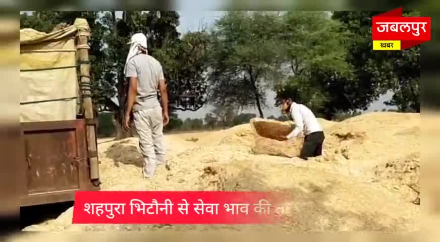 शहपुरा-धूप में भूख से भटक रहे मवेशियों को भूसा उपलब्ध कराया#jabalpurkhabar