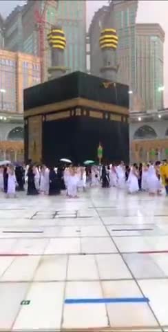 Heart 💕 Touching Beautiful View Of Rain 
🌧 On KAABA 🕋 19 Ramadan 
#KAABA #RamazanSharif