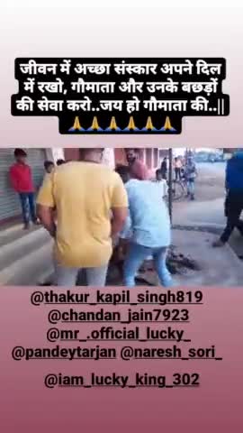अभनपुर: पारागांव में किसी ने गौ माता को ठोक दिया गौ सेवा समिति द्वारा गौ माता को गौ साला ले जाया गया
#pablic#pablicapp