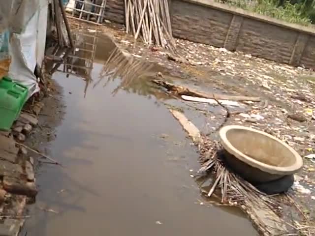जमालपुर: #safe jamalpur from flood @