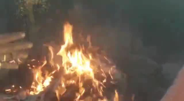 अक्षय तृतीया के दिव्य संयोग पर दी गई यज्ञाहुति का मानसिक उपस्थिति के साथ अर्जित पुण्य फल आरोग्य-आयुवर्धक हो #जयपरशुराम🚩
