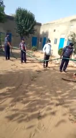 सीकर: स्थानीय संघ श्रीमाधोपुर के कब बुलबुल स्काउट रोवर रेंजर टीचर के द्वारा पेड़ पौधों में पानी देते हुए #bsgsankalp #bsgindia