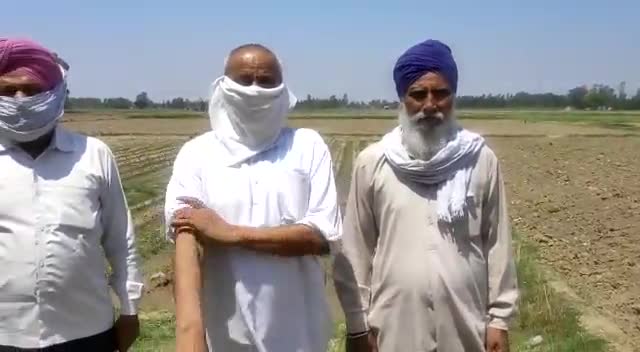 लॉकडाउन की वजह से किसानों की फसल खरीद ना होने पर क्या बोले अखिल भारतीय महासभा प्रवक्ता
#kissan 
#farmerprotest