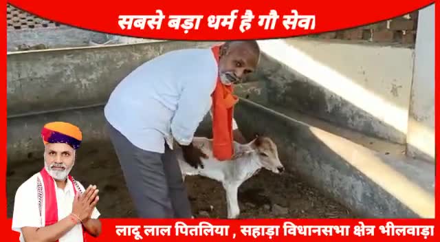लादू लाल पितलिया ने कहा कि सबसे बड़ा धर्म ही गोसेवा है #gsn724 #viralvideo #newsarpan7 #official