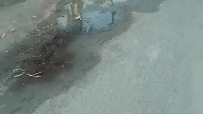 मेड़ता: #जलदाय विभाग लापरवाह, मेड़ता में सिविल लाइन की मुख्य रोड पर तीन पानी के लीकेज जिनसे काफी दिनों से नीर व्यर्थ बह रहा है।