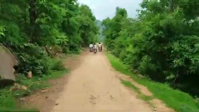 बिहार का सबसे बड़ा झरना यहां की खूबसूरती के आगे सब फेल karamchat waterfall seens of kaimur hills #beauty of nature