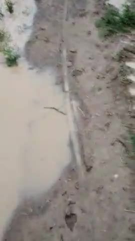 रॉबर्ट्सगंज: odauli ग्राम मे बारिश का प्रकोप के साथ ये रोड की
हालत देखिये##rainy day