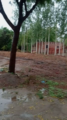 सुल्तानपुर: HEAVY RAIN FALL IN VILLAGE Mukund Pur
#RAINFALL