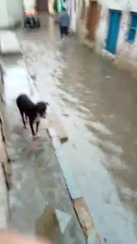 बक्सर: कोइरपुरवा वॉर्ड न.32 के हालत #सबका