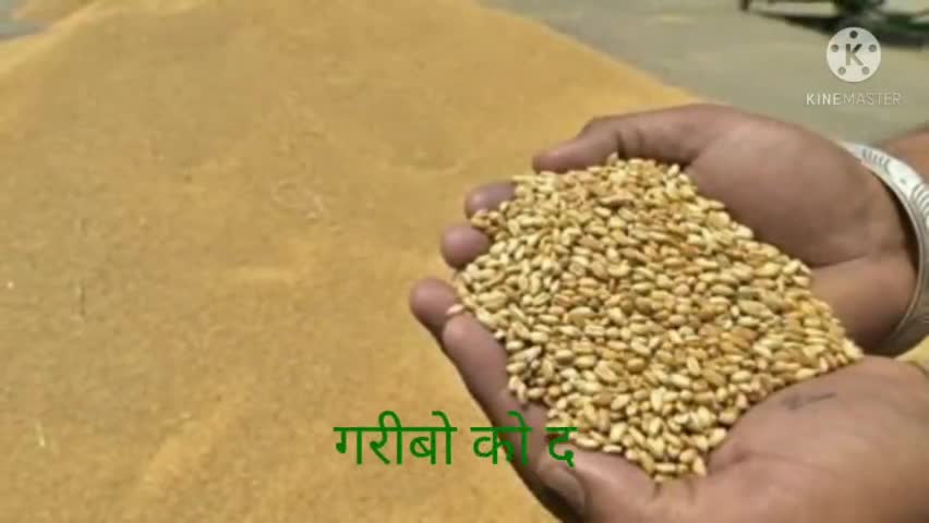 उत्तर प्रदेश में गरीबों को आज से निःशुल्क अनाज दिया जाएगा||#suportpoors#maskupindia