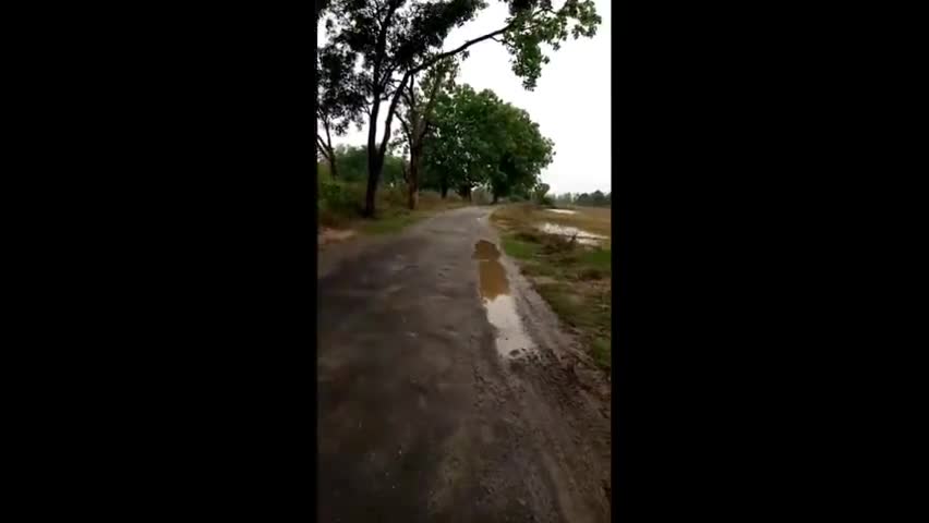 हर्रैया: कजरी कुण्ड में हो रही है लगातार दो दिनों से वर्षा#breakingnews#kaptanganj