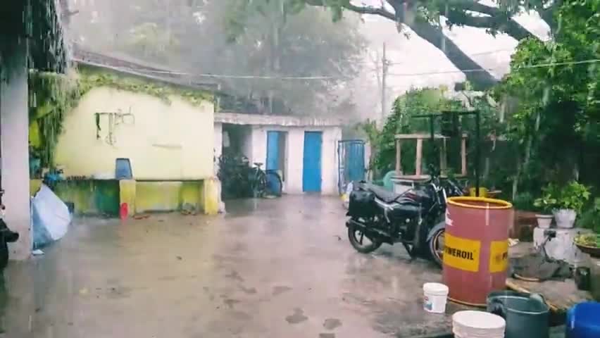 करोना काल के कहर मे परीयावर्ण भी हुये शिकार #suraj shriwas