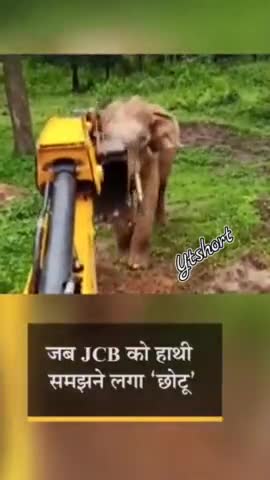 #हाथी के बच्चे का #रेस्क्यू ऑपरेशन: #JCB मशीन से गड्ढे में गिरे हाथी की बचाई जान, #सोशल मीडिया पर #वीडियो #वायरल