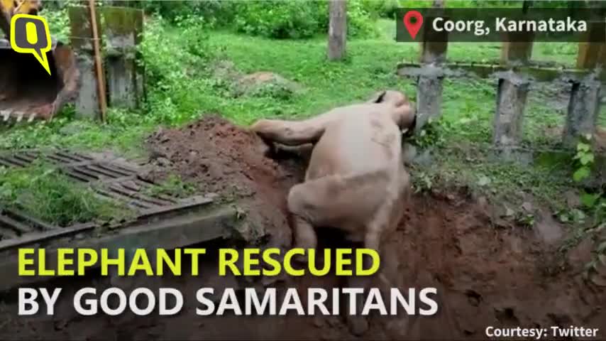 गड्ढे में फंसे हाथी को JCB ने निकाला बाहर
HELP ALL 🙏
#news #JCB #sintusharma #corona #sintusharma87 #national_news