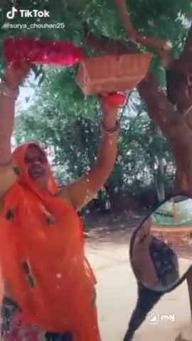saif🥰🐦 bird's 😑#birdflu #publickipehel #indian_army #publicverified #publickipahal #india716
