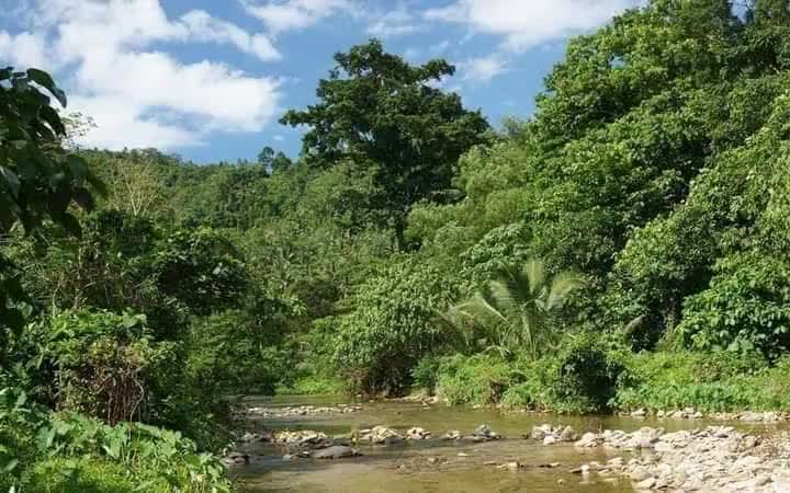 #savebuxwahaforest 
खबर बक्सवाहा जंगल की है  क्या पेड़ों से ज्यादा कीमती हीरे हैं