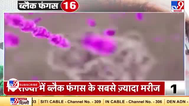 Black fungus alert India #black_fungus
