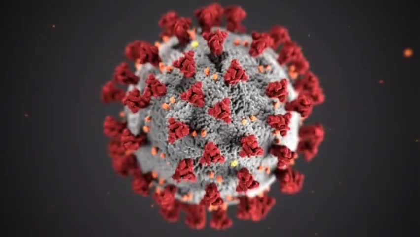 https://youtu.be/xA0NySEAKJg
#covid_vaccine #covidindia कोरोना के बाद नई बीमारी आई है पूरी देखे
चैनल सब्सक्राइब  लाइक