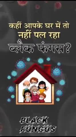 #जानकारी: #बारिश की वजह से तेजी से फैल सकती है ब्लैक #फंगस,इन तरीकों से पाएं #Black_fungus से छुटकारा