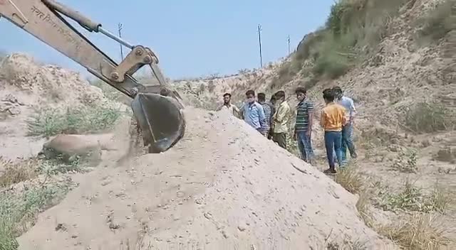 फिरोज़ाबाद: ##Antrashtriy go mata seva mahasangam Firozabad #time@