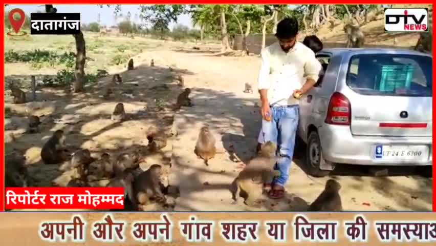 लॉकडाउन में बंदरों को खिलाया खाना युवा मंच संगठन दातागंज की टीम ने सभी जानवरों को कराया जलपान #बंदर #खाना