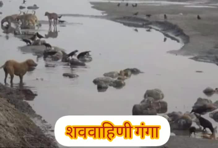 #गुजरात की प्रसिद्ध कवियित्री "पारुल खक्कर" की कविता #शववाहिणी_गंगा की प्रस्तुति #कुमारवाणी  चैनल पर 🙏🇮🇳