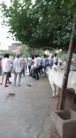 #चक्रवात_यास #चक्रवात_यास #चक्रवात_यास #चक्रवात_यास