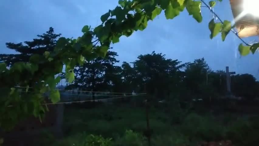 लातेहार: YASS Cyclone Effect in Jharkhand, YASS cyclone🌀 का असर झारखंड में भी , बारिश थमने का नाम नहीं ले रही है #ऐस #YASS