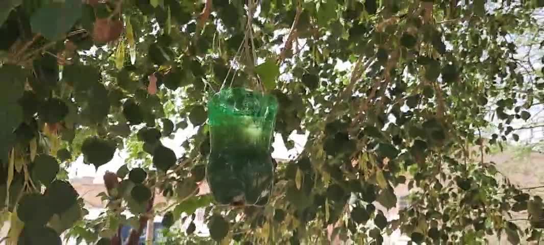 खाली प्लास्टिक बोतल का ऐसा उपयोग देखकर आप भी रह जाएंगे हैरान 
#flowers #Plasticbottle